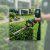 Springfield Landscaping & Outdoor Services by Patriot Pro Solutions LLC